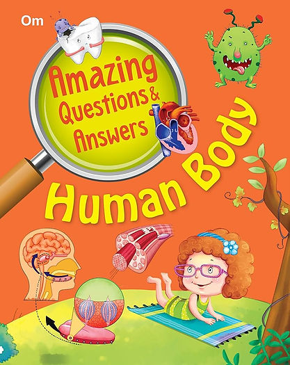 Amazing Questions and Answers: Human Body